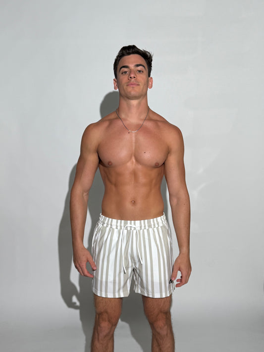 Model wearing the JETTIES Code Gray, Gray and white striped mens bathing suit